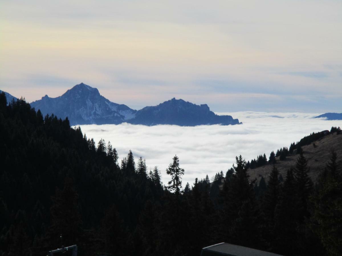 Chalet Le Telemark Толлон Экстерьер фото